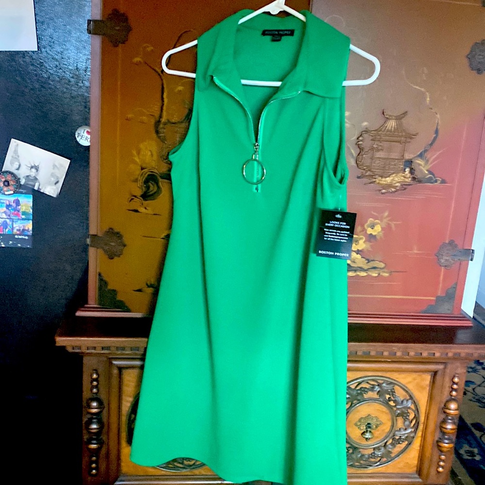 Boston Proper Green Retro Dress-S